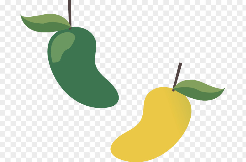 Mango Vector Material Designer PNG