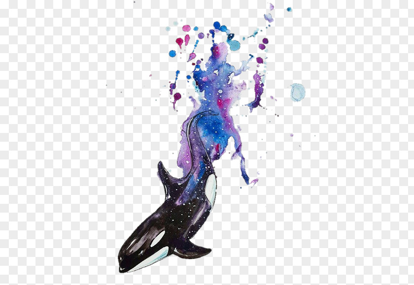 Painting Watercolor Killer Whale Art PNG