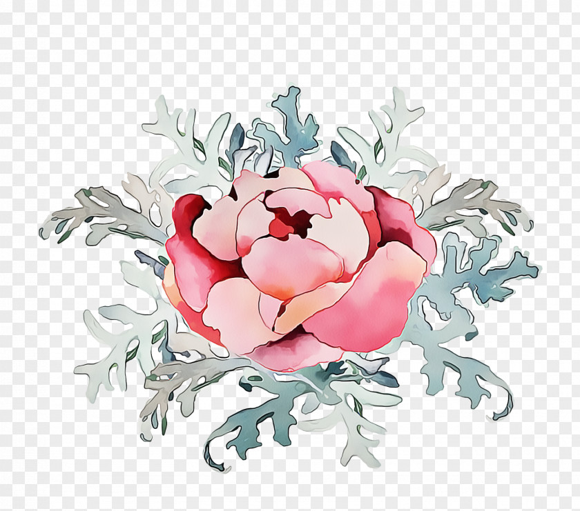 Rose Family Flowering Plant PNG