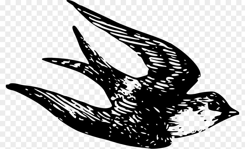 Sparrow House Songbird Clip Art PNG