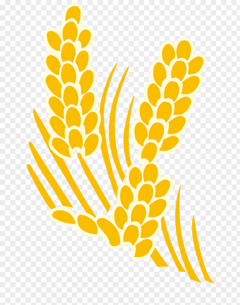 Vector Yellow Rice And Wheat Clip Art PNG