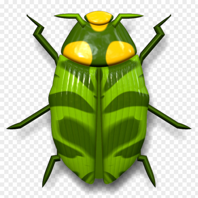 Beetle Ladybird Cockroach Clip Art PNG