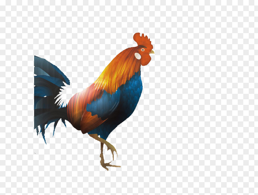 Big Cock Color Dorking Chicken Broiler Rooster Chinese New Year PNG