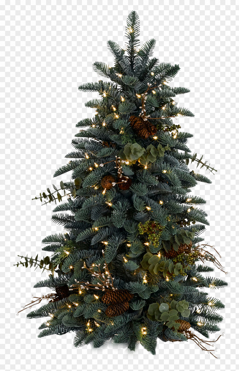Christmas Tree HD Decoration Santa Claus PNG