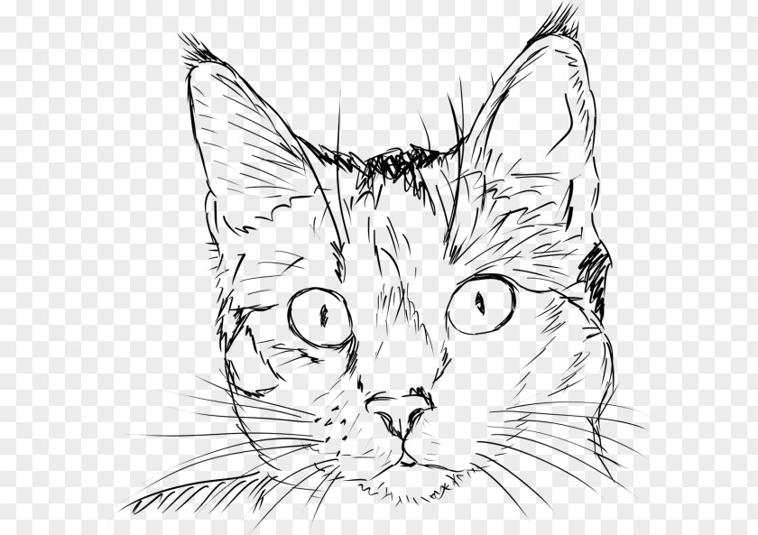Cute Cat Drawing Getdrawings Sketch Line Art Kitten PNG