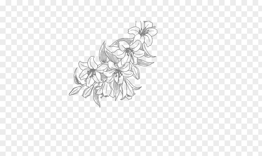 Flower Line Art Drawing PNG