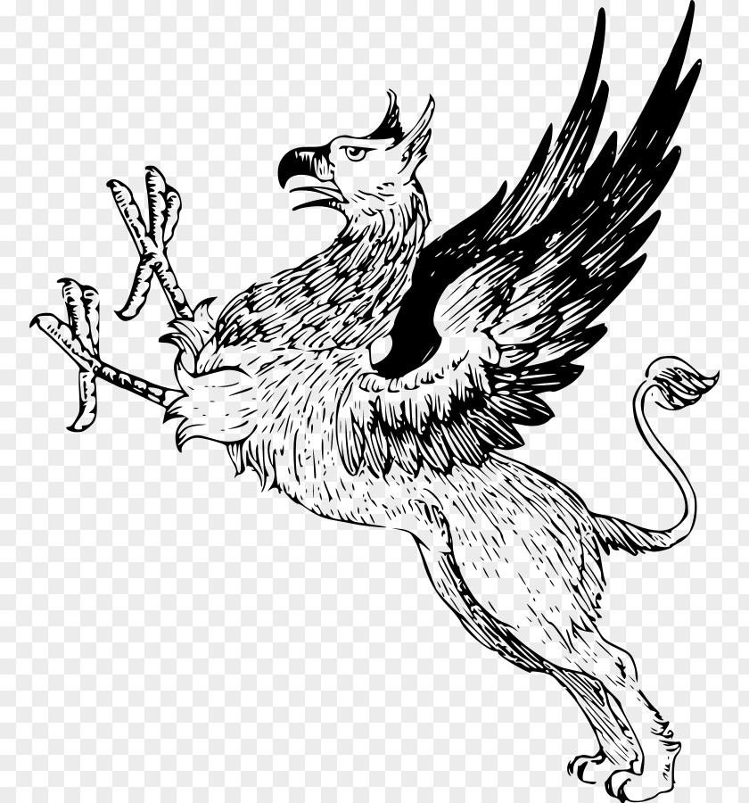 Griffin Cliparts T-shirt Heraldry Clip Art PNG
