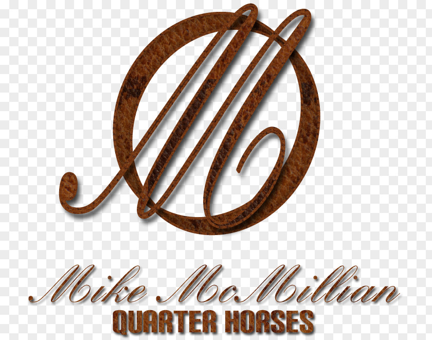 Quarter Horse American Standing Stallion Show Gelding PNG