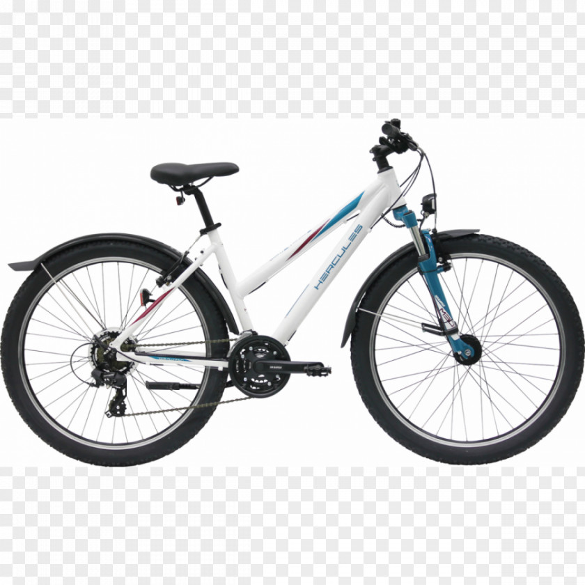 Bicycle Sale Advertisement Design Evolution Bikes Trek Corporation Mountain Bike Fuel PNG