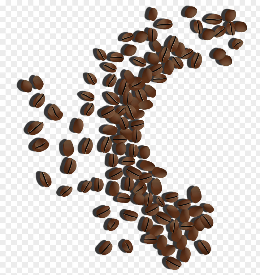 Coffee Jamaican Blue Mountain Bean White Single-origin PNG