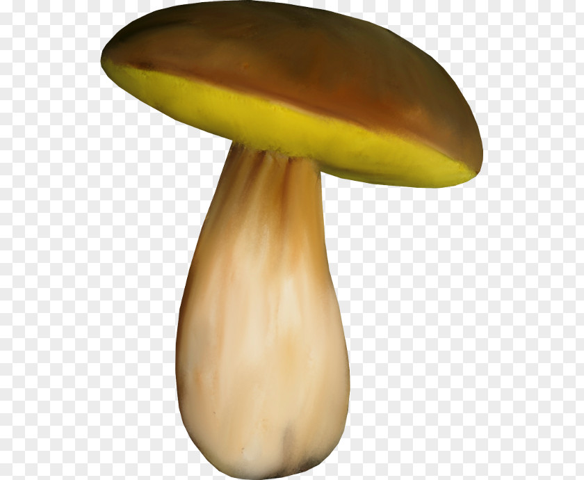 Design Edible Mushroom Fungus PNG
