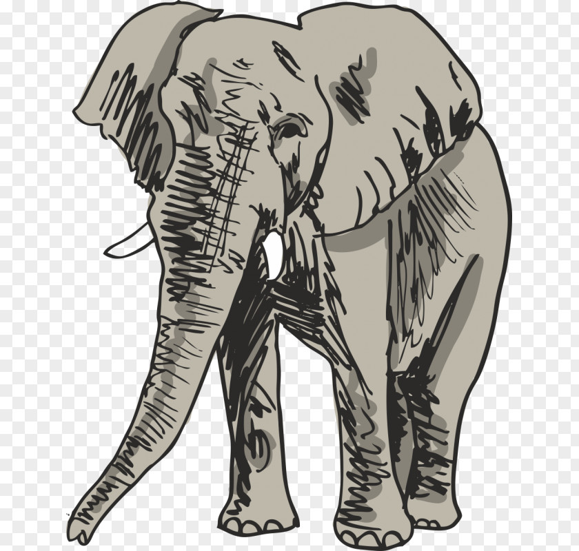 Elephant Drawing Royalty-free PNG