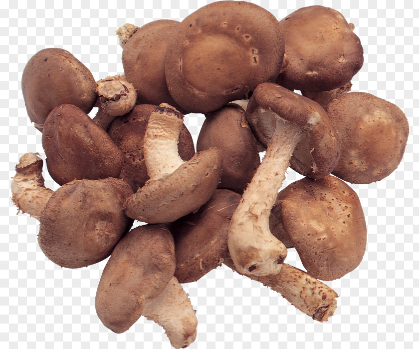 Mushroom Edible Food Vitamin Shiitake PNG