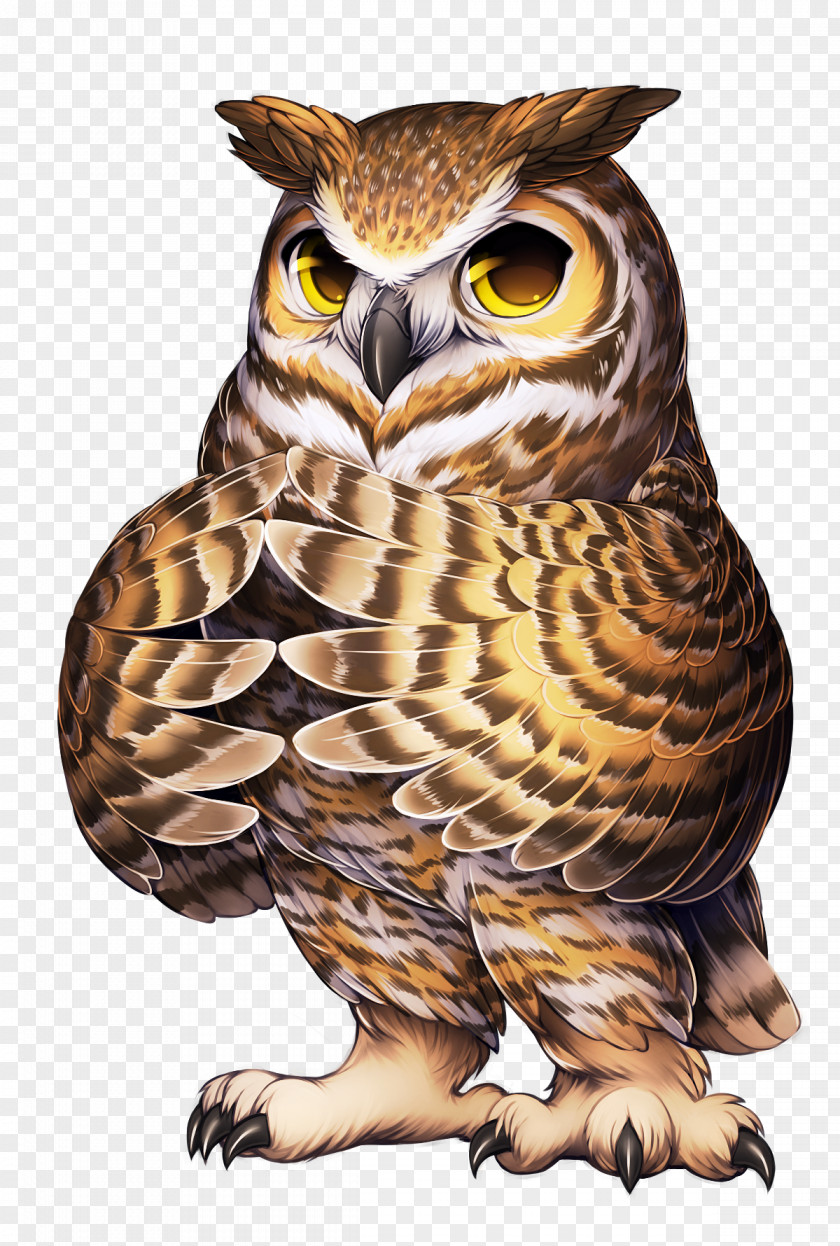 Owls Snowy Owl Bird Great Horned Furry Fandom PNG