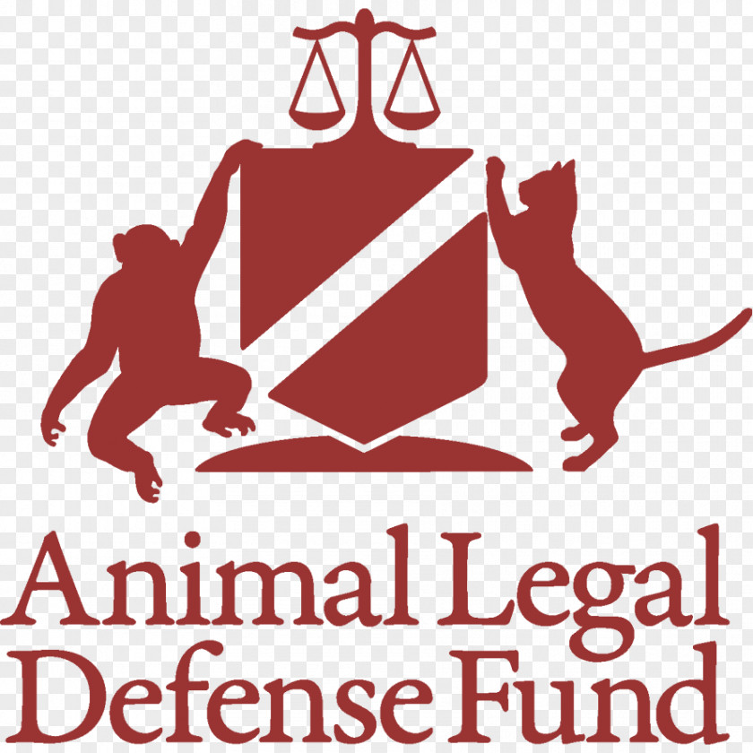 Student Animal Legal Defense Fund Law College University Of New Mexico School PNG