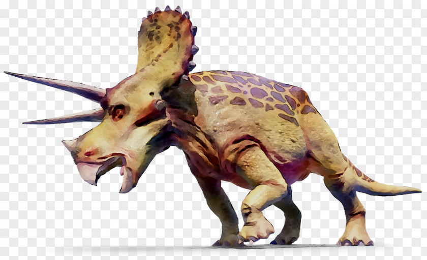 Triceratops Dinosaur GIF Tyrannosaurus Geography Clipart PNG