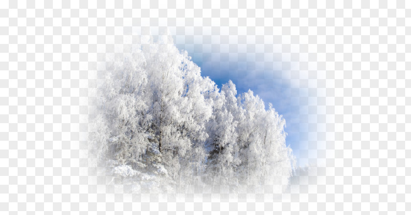 Winter Snow Advertising Image Resolution PNG