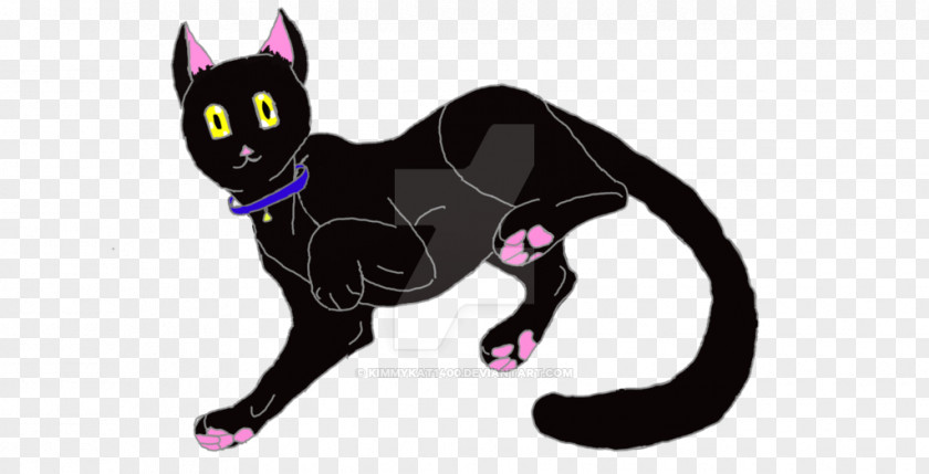 Cat Whiskers Black Art Yellow Eyes PNG