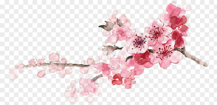 Cherry Blossom Wedding Floral Design Toy Gift PNG