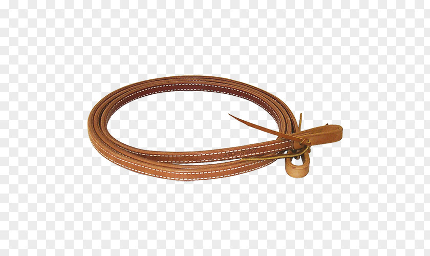 Draw Reins And Running Romal Martingale Equestrian PNG