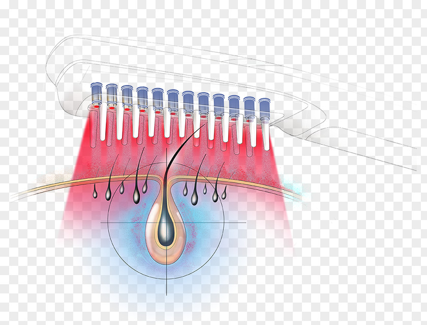 Follicle Comb Laser Diode Hair Brush PNG