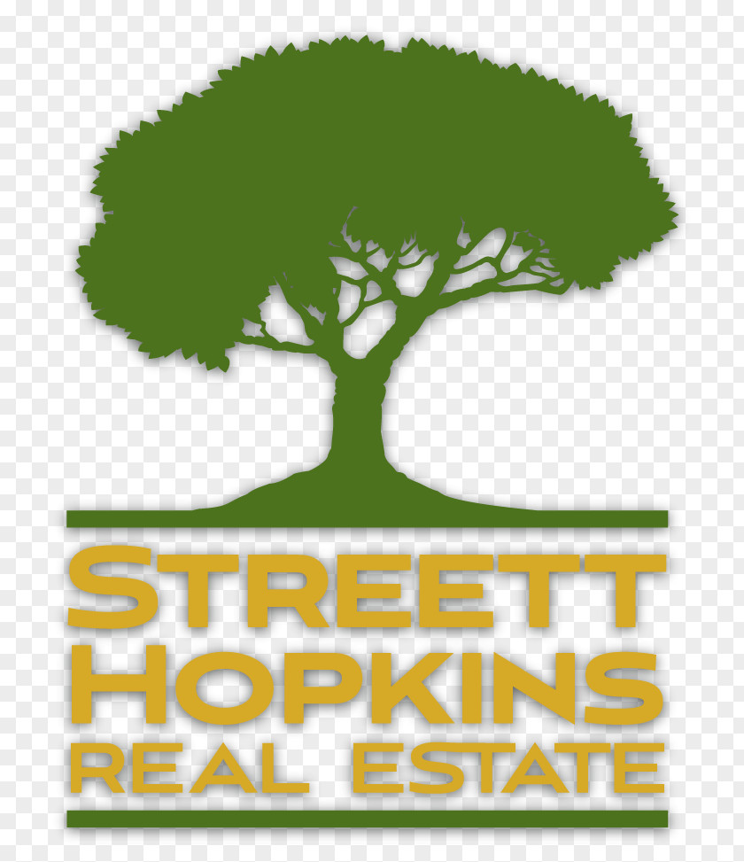 Peter Hopkins Realtor Streett Real Estate Lynchburg Baltimore Logo PNG