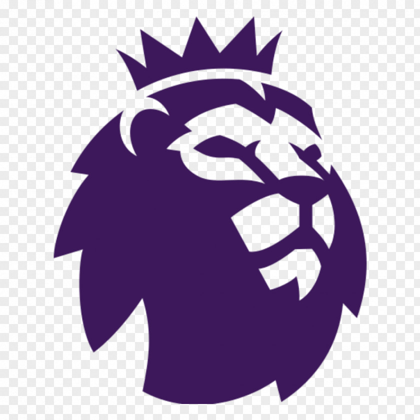 Premier League Darts 2018–19 2017–18 English Football Leicester City F.C. Manchester PNG