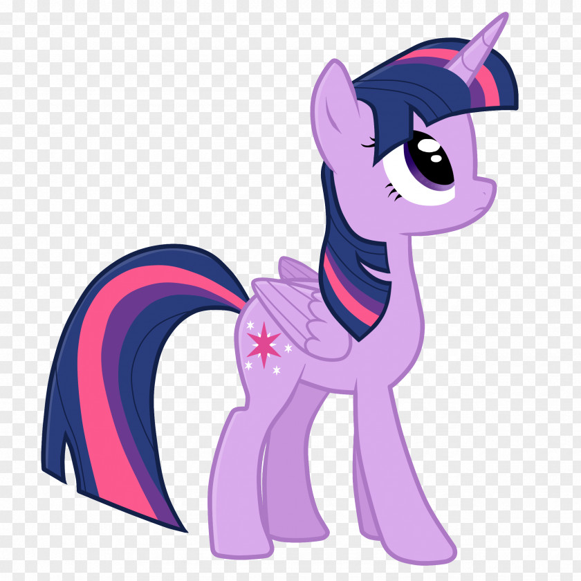 Twilight Sparkle Pony Rarity Applejack Pinkie Pie PNG