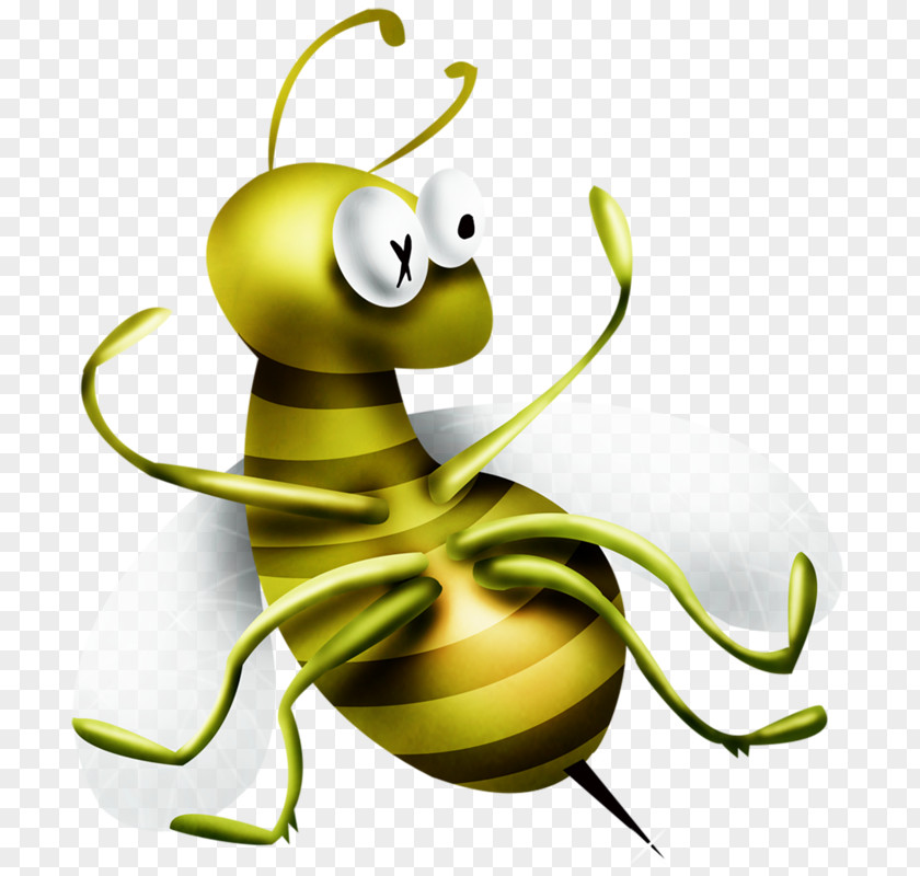 Yellow Bee Apidae Cartoon Clip Art PNG