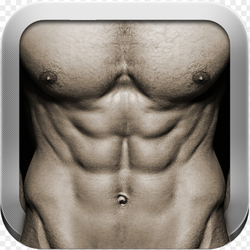 Abdominal Exercise Rectus Abdominis Muscle Crunch Personal Trainer PNG
