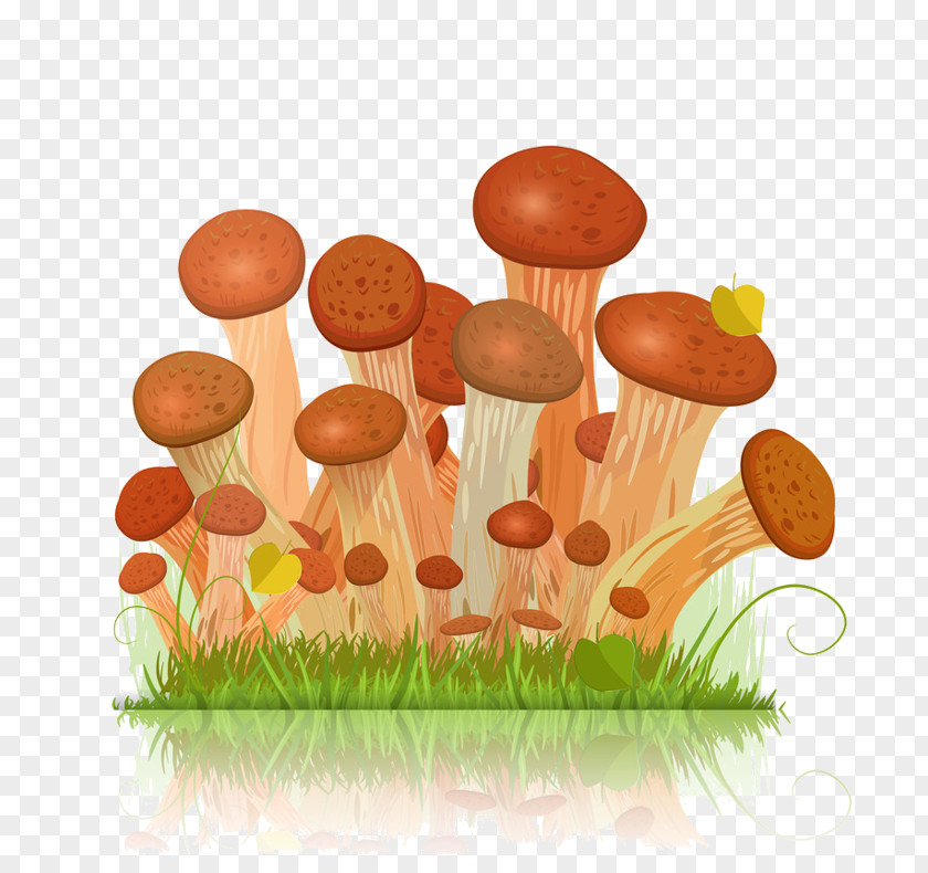 Armillaria Map Honey Fungus Edible Mushroom Vector Graphics PNG