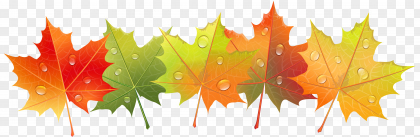 Autumn Leaves With Dew Drops Clip Art Image PNG