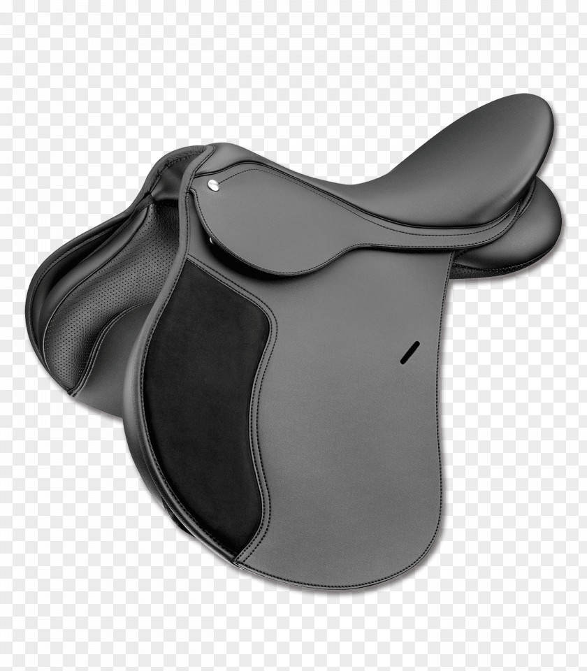 Grazing Horse English Saddle Wintec Equestrian PNG