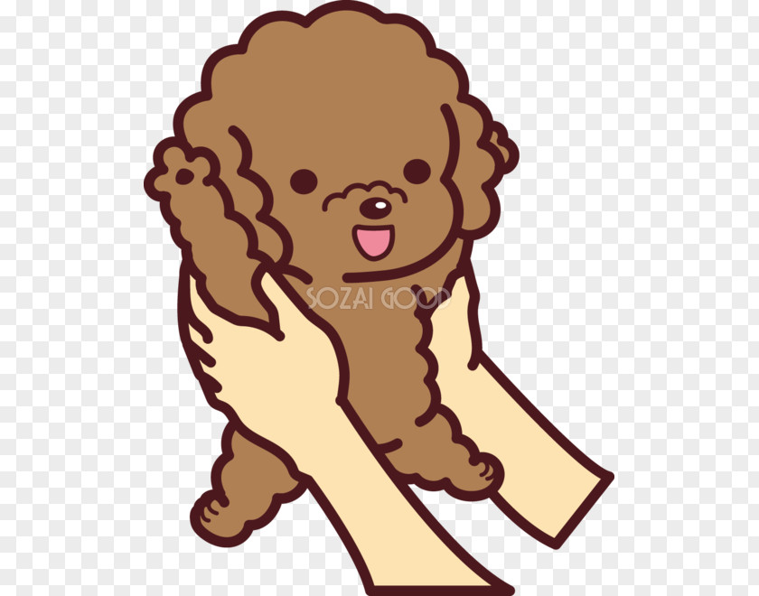 Puppy Poodle Kavaii Clip Art PNG
