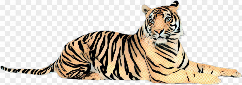 Tiger Big Cat Terrestrial Animal Fauna PNG