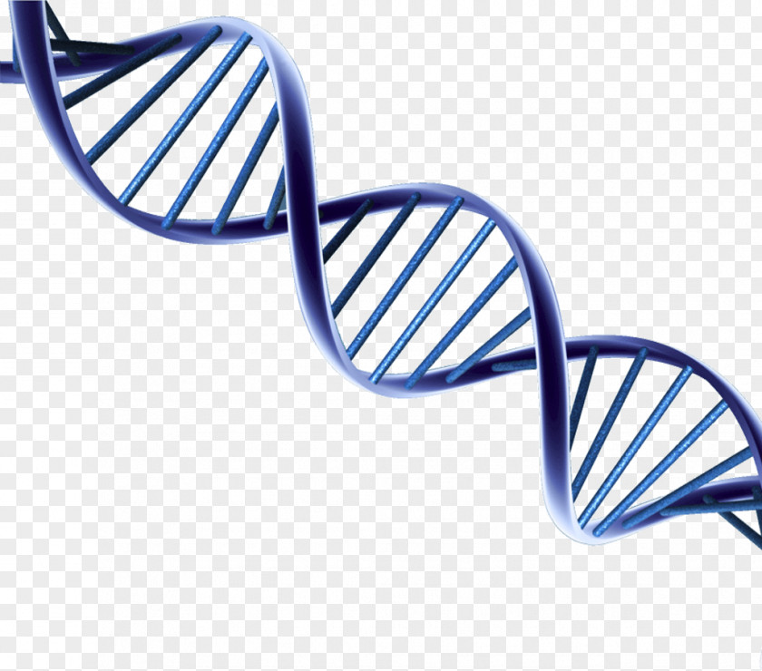 Cheops Pyramid DNA Clip Art Nucleic Acid Double Helix PNG