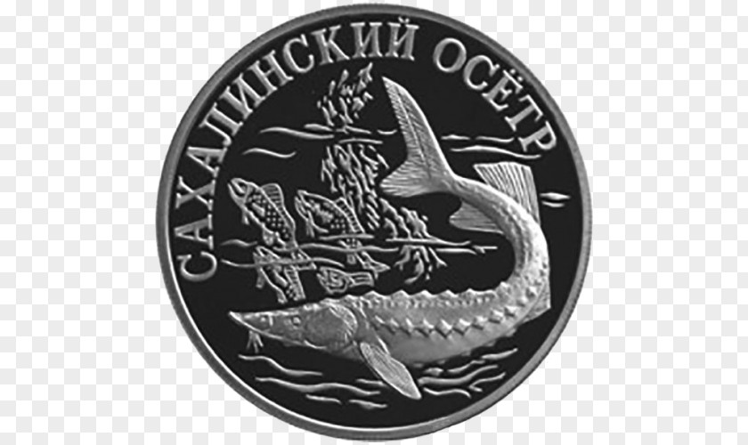 Coin Saint Petersburg Mint Moscow Silver Содружество Независимых Государств PNG