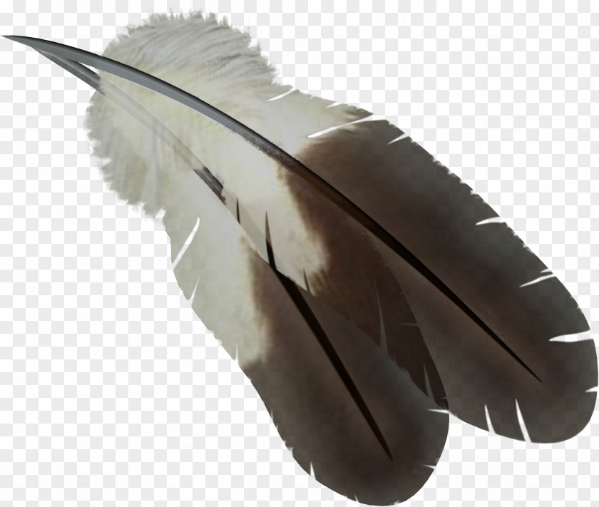 Feather Computer File PNG