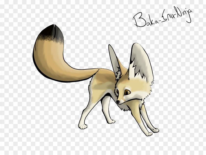 Fennec Fox Arctic Drawing Clip Art PNG