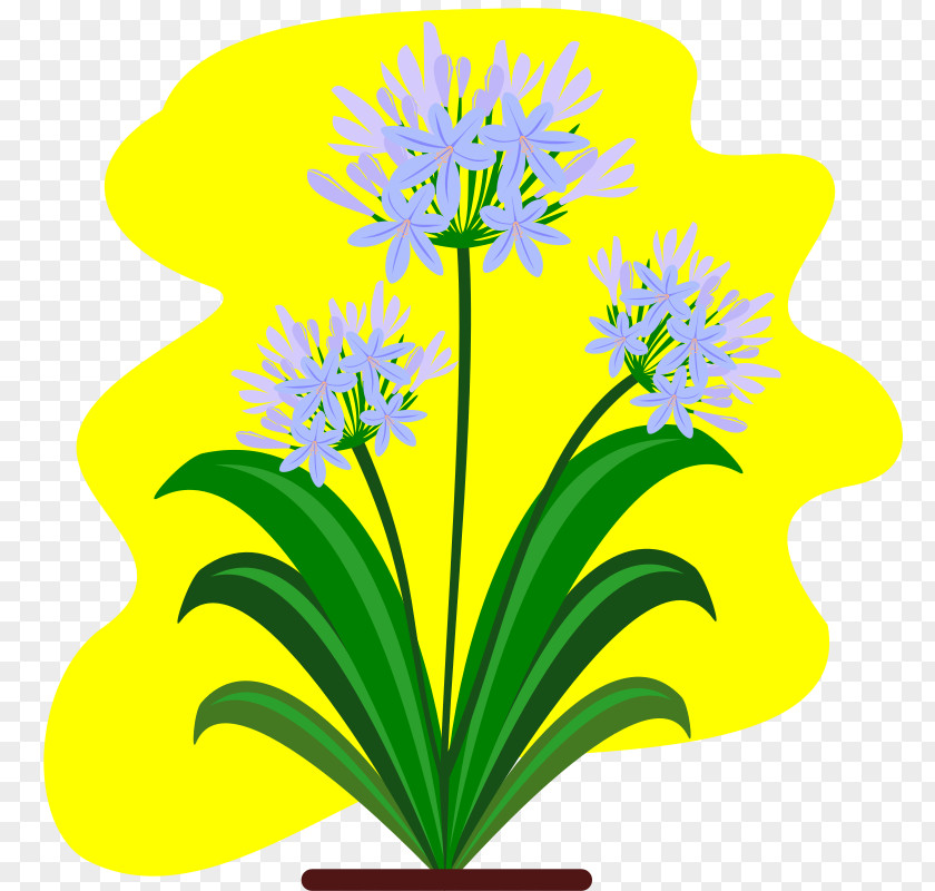 Flower Cut Flowers Lily Of The Nile Plant Clip Art PNG