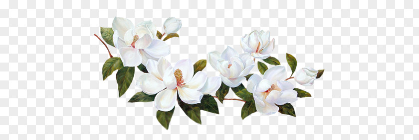 Flowers PNG clipart PNG