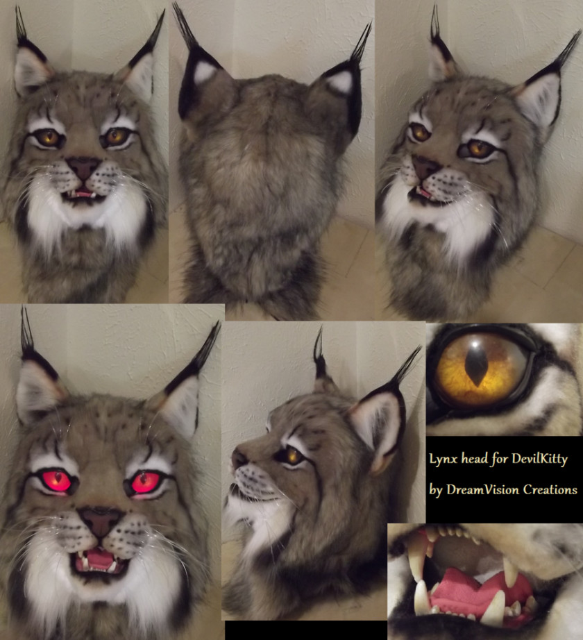 Lynx Canada Fursuit Felidae Costume PNG