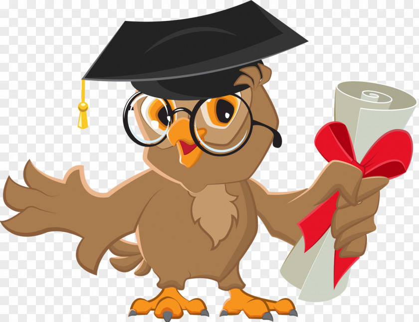 Owl Vector Graphics Diploma Stock Illustration PNG