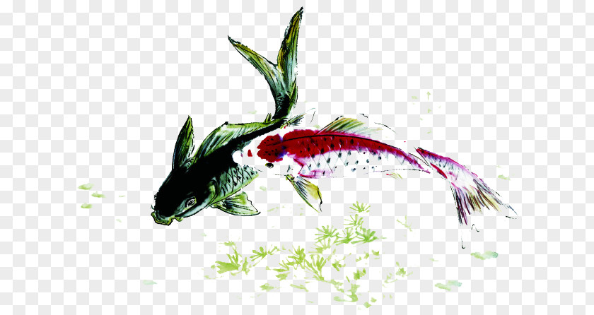 Pisces Play Koi Fish Carp Ink PNG