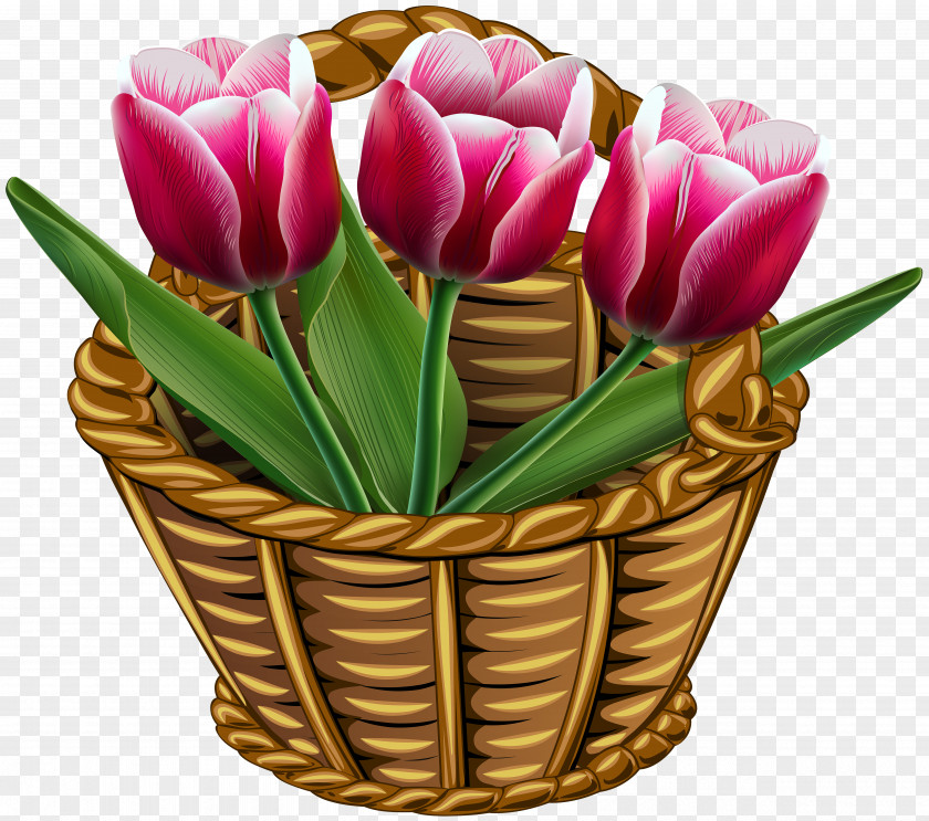 Basket With Tulips Transparent Clip Art Image Tulip Flower PNG