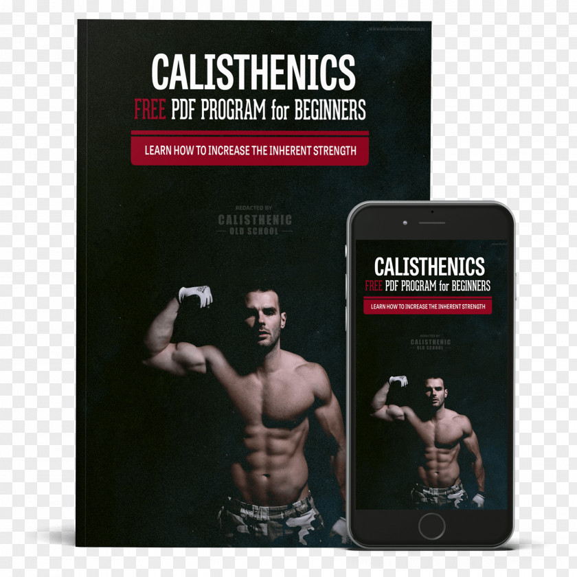 Bodybuilding Calisthenics Exercise Weight Training Dip PNG