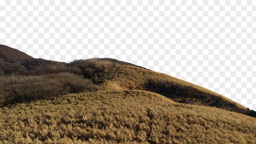 Ecoregion Shrubland Soil Grassland Rock PNG