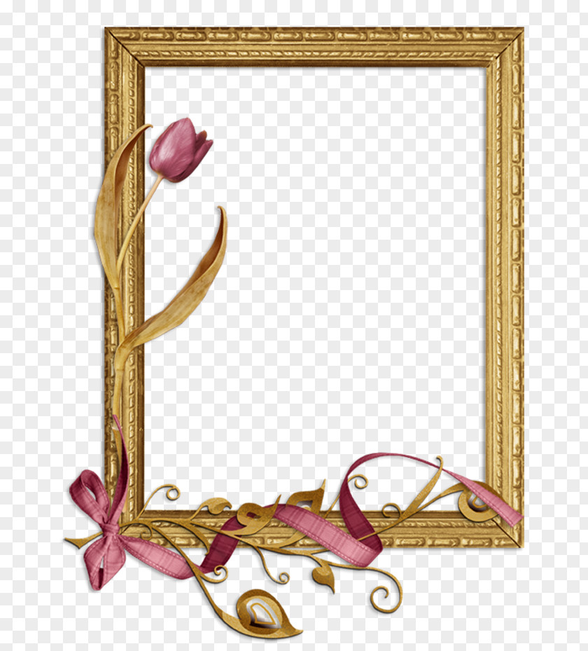 Eyewitness Background Picture Frames Image Photography Drawing PNG