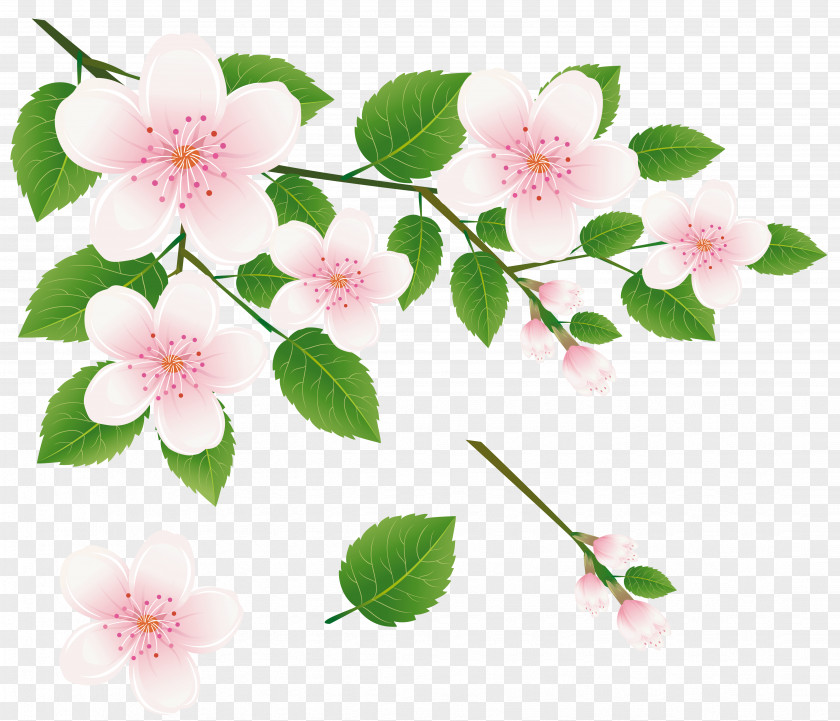 Green Branch Cliparts Flower Spring Clip Art PNG