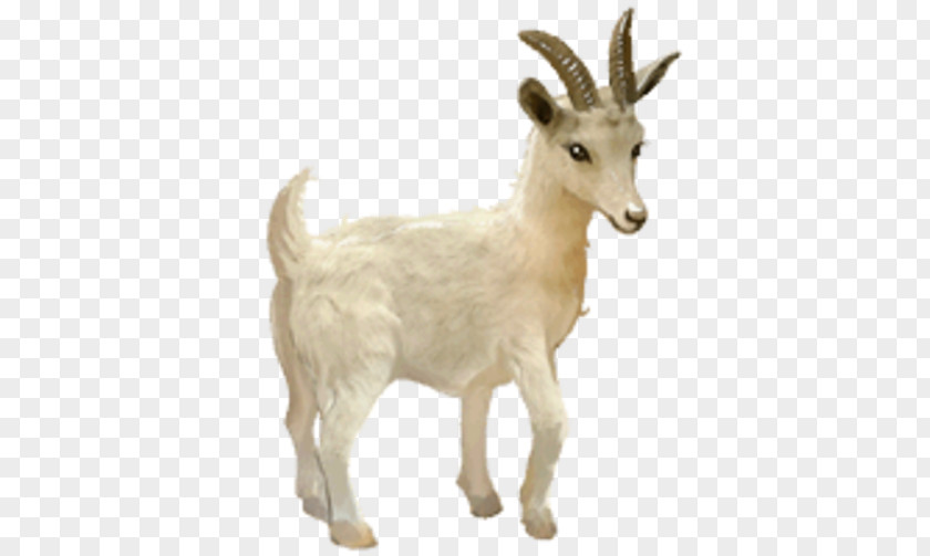 Horse Howrse Goat YouTube PNG